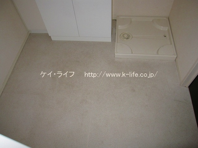 洗面所と洗濯機置場