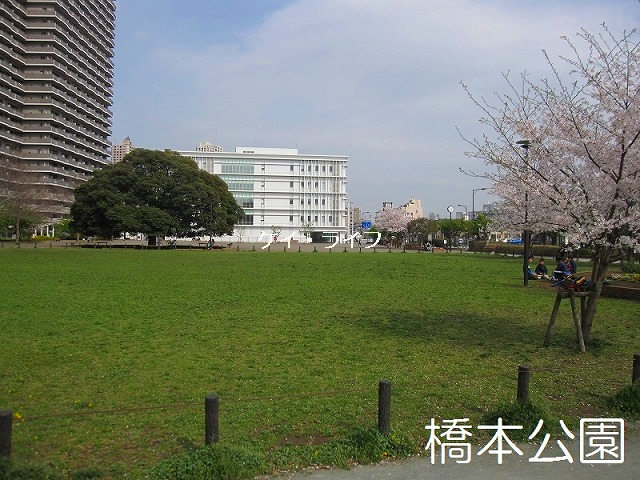 橋本公園