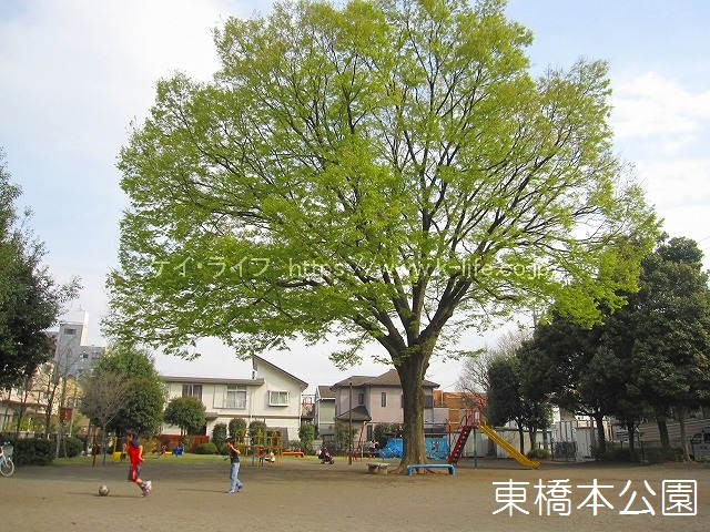 東橋本公園