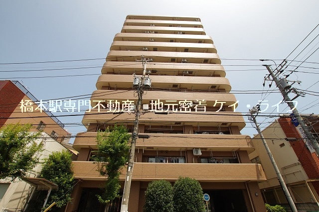 エレクティオン橋本ビオス