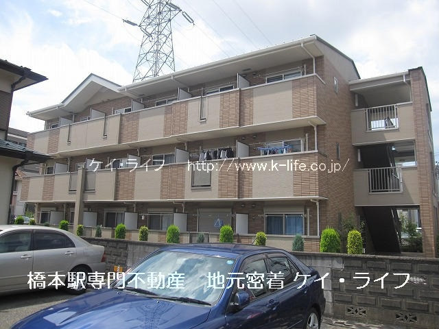 グランドグローリー