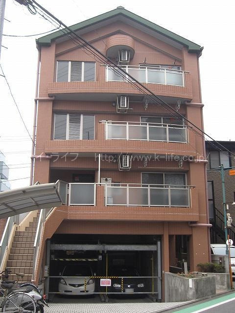 コートブラウン五番