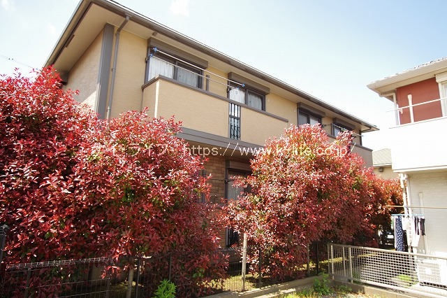 アタラクシア Ｃ