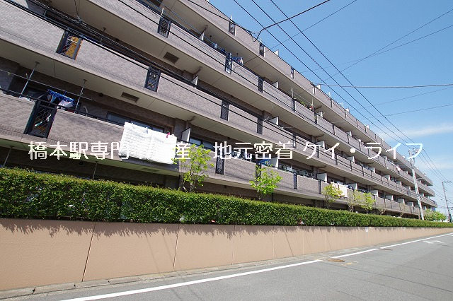 日神パレステージ橋本第２