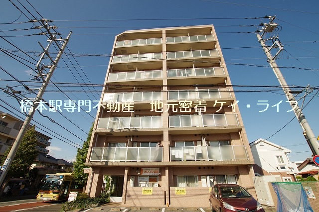 Ｓａｎｔａ　Ｍｏｎｉｃａ　Ｈａｓｈｉｍｏｔｏ