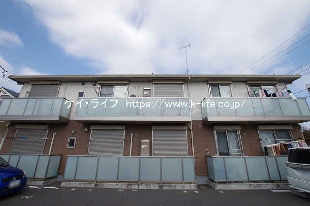 エバーグリーン