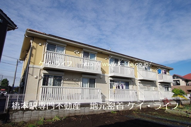 Arkadia（アルカディア）