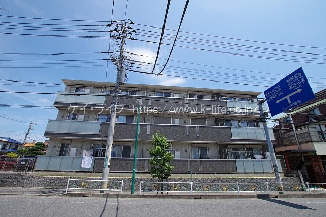 グレイスコート