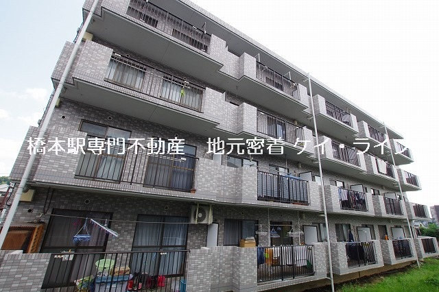 ブルヤール橋本