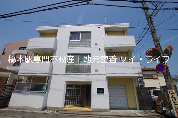 Ｐｒｅｓｔｉｇｅ　Ｄｒｅａｍｙ(プレステージドリーミー)