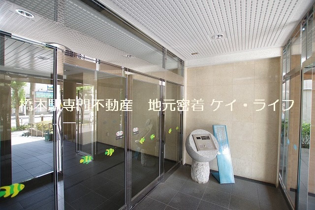 エレクティオン橋本ビオス_画像2