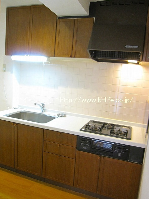 レソール_画像2