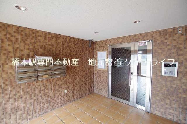 ファルコーネ_画像2