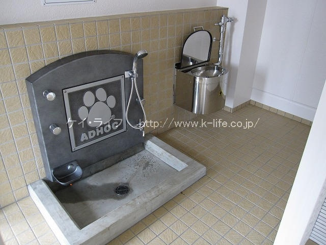 スカイクルーク_画像2