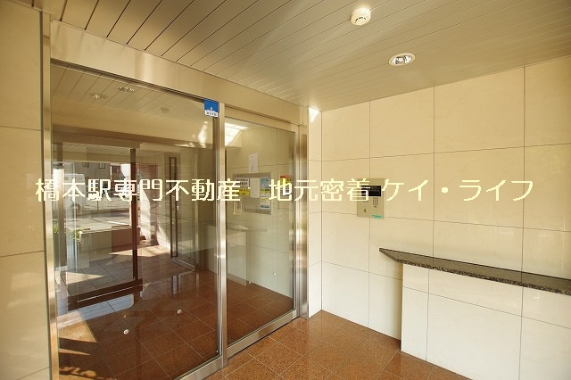 Ｓａｎｔａ　Ｍｏｎｉｃａ　Ｈａｓｈｉｍｏｔｏ_画像2