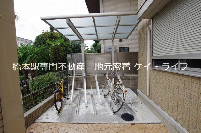 セフィロ_画像2