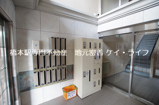 VINAKA（ヴィナカ）_画像2