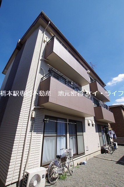 ベルハイムⅢ_画像3