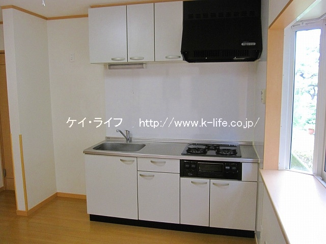 サングレースⅢ_画像3