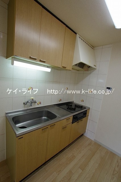 エルフィール橋本_画像3