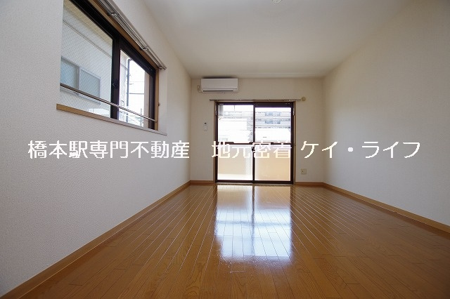 ファルコーネ_画像3