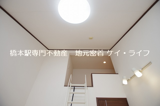 アネックス・ツシマ_画像3