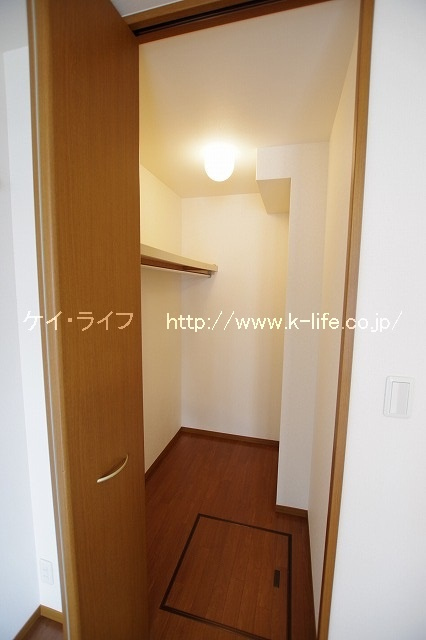 SPRUCE（スプルース）_画像3