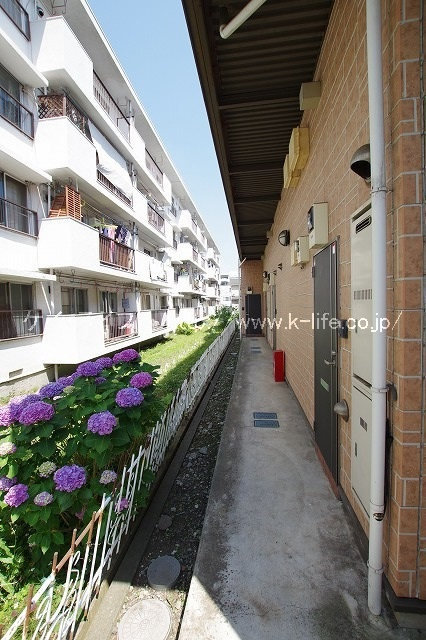 オーシャン_画像3