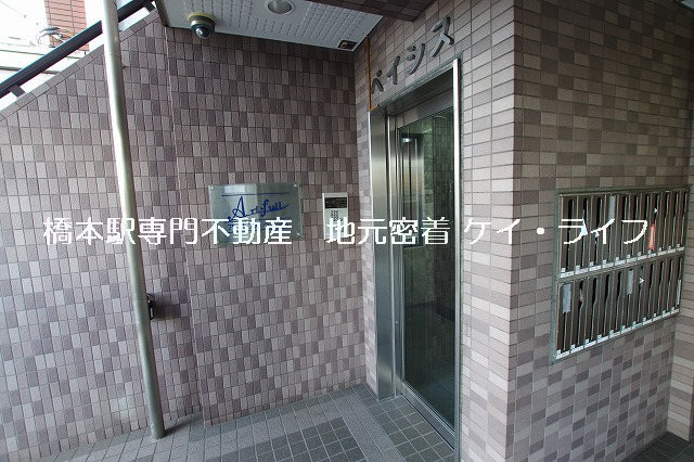 アート・フルベイシス_画像3