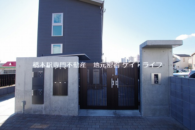 ブラウンシックス_画像3