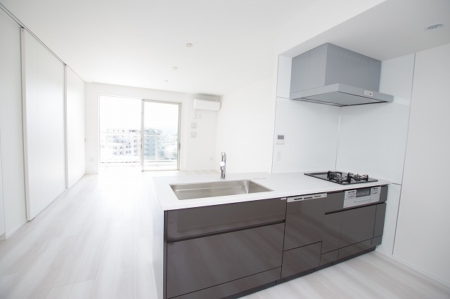 SOLFIESTA  VERDE_画像3