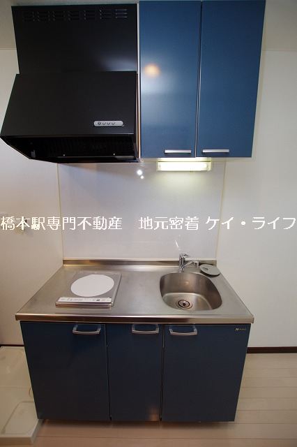 セレーナ橋本_画像4