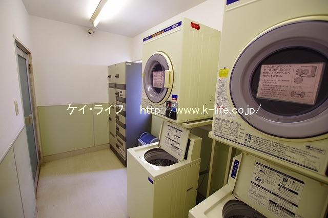 デイム橋本_画像4