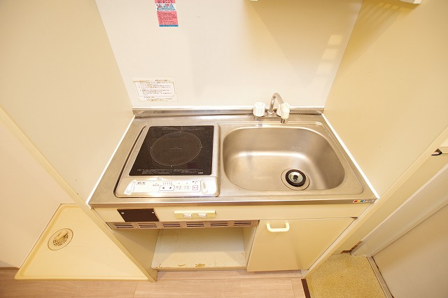 日神パレステージ橋本_画像4