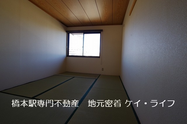 ソフィア小山_画像4