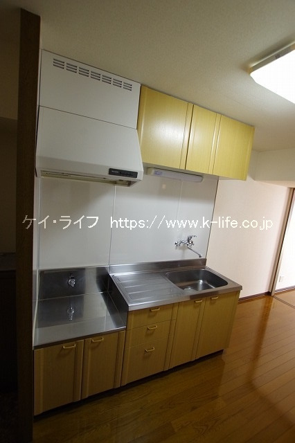 プリマ・ピエースⅠ_画像4