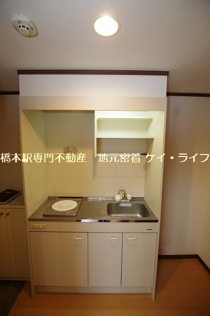 アネックス・ツシマ_画像4