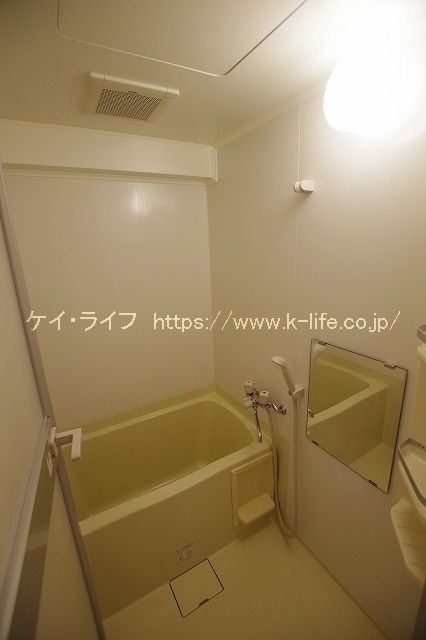 オルテンシア_画像4