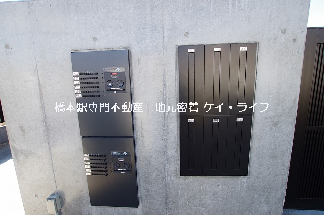 ブラウンシックス_画像4