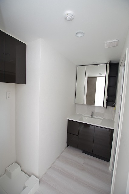 SOLFIESTA  VERDE_画像4