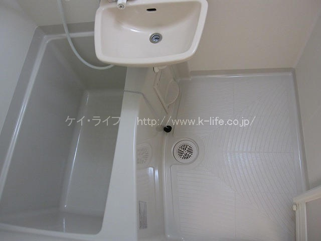 サンフラワーⅡ_画像4