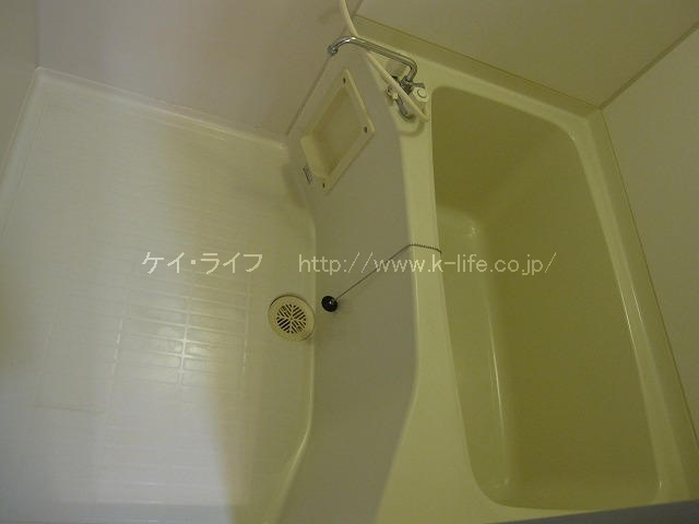 パレフォンティーノ_画像5