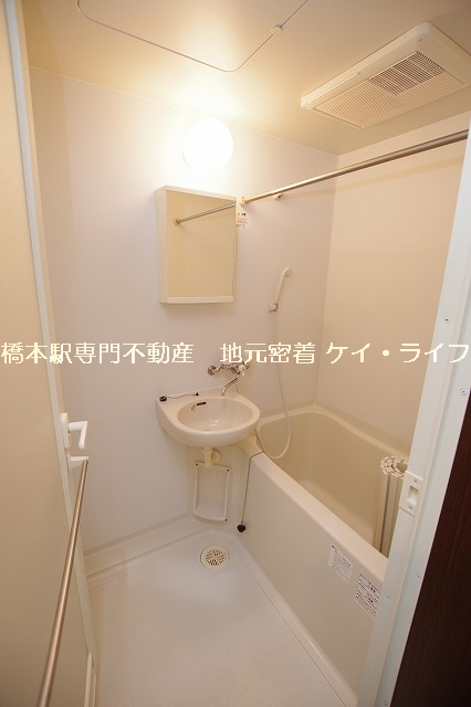 セレーナ橋本_画像5