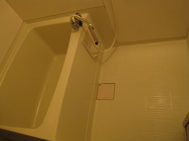 カレント橋本_画像5