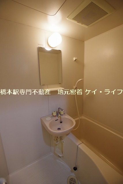 アコックビル_画像5