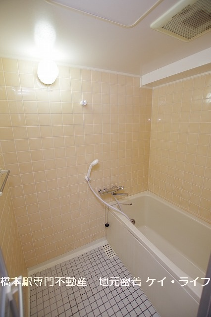 ドラゴンマンション橋本弐番館_画像5