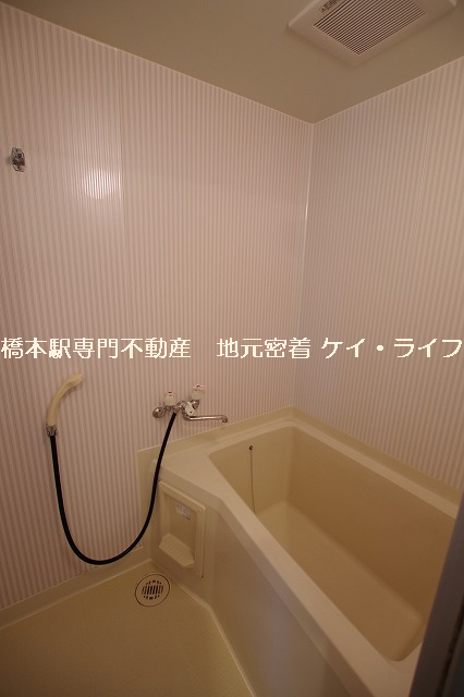 ボナール・ヤマグチ_画像5