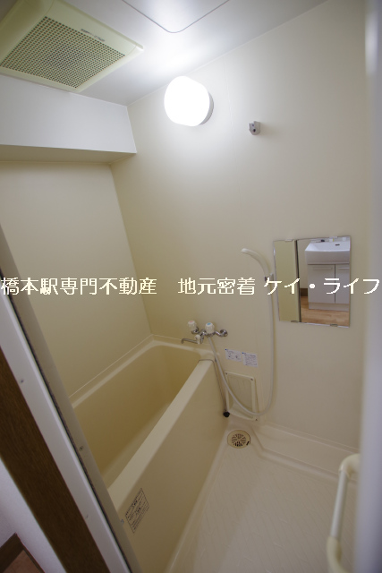 アート・フルベイシス_画像5