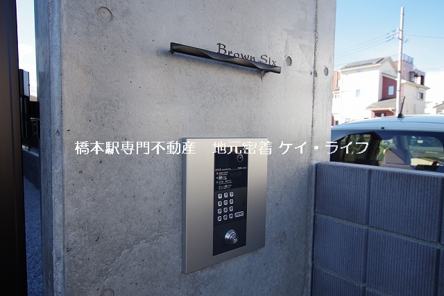 ブラウンシックス_画像5