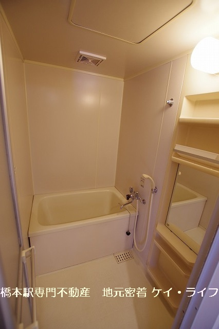 ソフィア小山_画像5